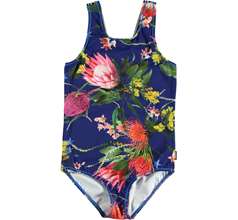 Orchid New arrivals